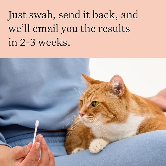 Wisdom Panel Complete: Comprehensive Cat DNA Test kit for 45 Health Genetic Health Conditions, 70+ Breeds and populations, 25+ Traits, Blood Type - Pack of 2