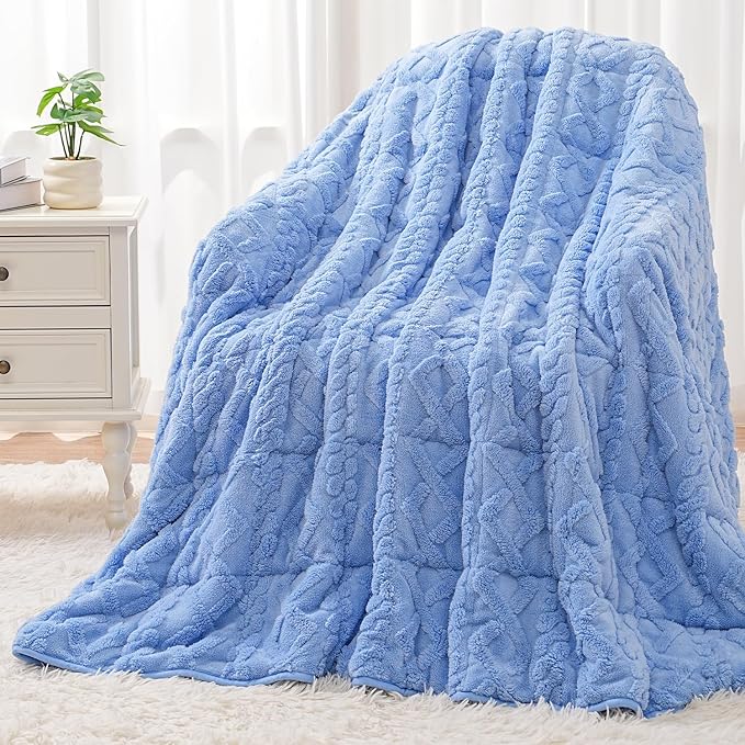 Wemore Weighted Blanket for Adults Queen Size 15 lbs, Dual Sided Soft Fuzzy Jacquard Sherpa Weighted Blankets Throw, Cozy Fluffy Knitted Heavy Blanket for Couch Bed, Blue, 60 x 80 inches