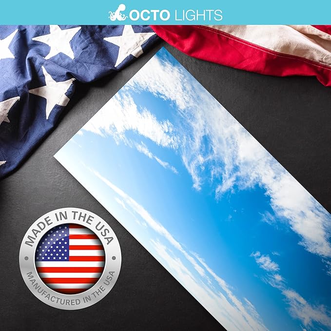 OCTO LIGHTS Fluorescent Light Covers Cloud Sky Panel for Ceiling Lights, Light Covers for Ceiling Lights Classroom 2x4 (22.38"x46.5") Backlit Film Insert for Fluorescent Light Fixtures (Pack of 1)