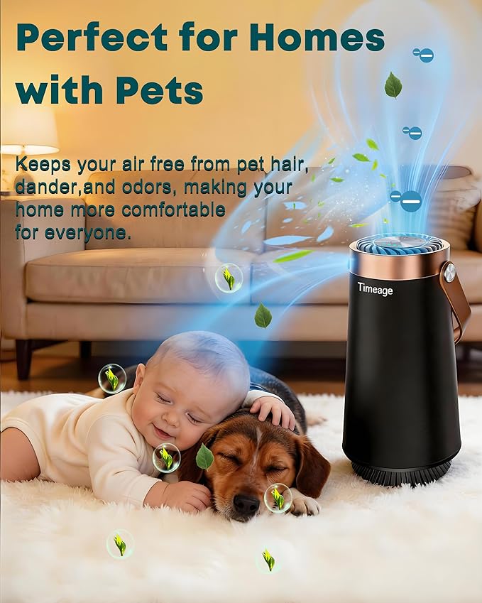 Small Ionic Air Purifier for Bedroom & Home– Silent HEPA Filter – Covers 250 Sq Ft - Free Cleaner for Pets, Hair, Smoke, Dust, Scent & Dander – Rechargeable Design with Ozone Generator