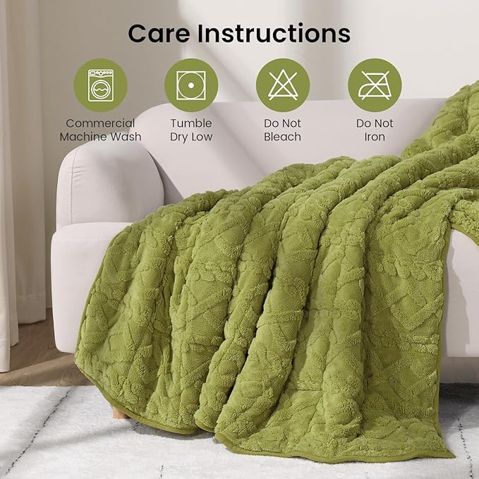 Drewin Weighted Blanket Twin Size 15 lbs, Cozy Jacquard Sherpa Weighted Blankets for Adults for Winter, Comfortable Sofa Bed Blanket for Sleeping Natural and Calming, 48 x 72 inches, Grass Green