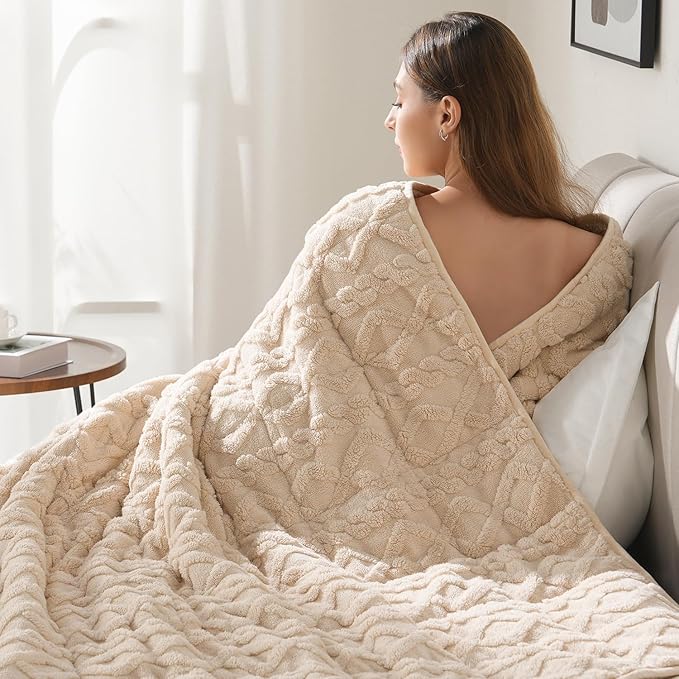 Drewin Weighted Blanket for Adults Queen Size 15 lbs, Soft Fuzzy Jacquard Sherpa Weighted Blankets for Sleeping, Cozy Sofa Bed Blanket for Winter, Beige, 80 x 87 inches