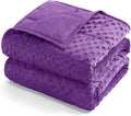 Kivik Minky Dot Weighted Blanket for Adults, 12 lbs Breathable Heavy Throw Blankets, Ultra Soft Cooling Weighted Comforter, Machine Washable, 48"x72" Twin, Purple
