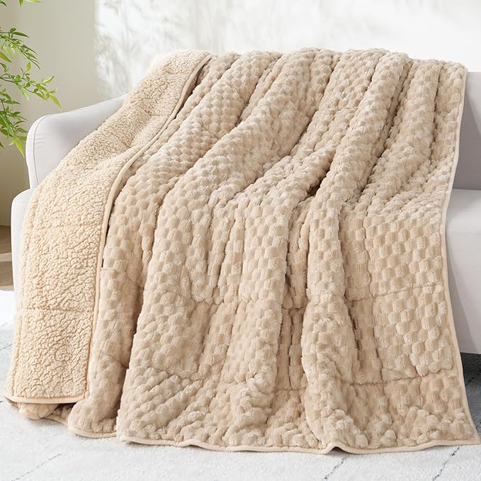 Drewin Weighted Blanket Twin Size 15 lbs, 3D Turtleback Pattern Jacquard Sherpa Weighted Blankets, Adult Weighted Blankets for Sleep Natural and Relaxing, Beige, 48 x 72 inches