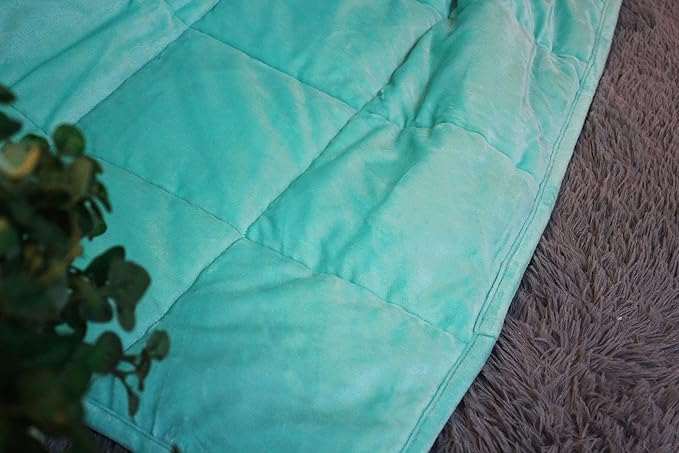 ALANSMA Reversible Weighted Blanket for All Season, Luxury Velvet, Warm and Cool, Adult 20Lb Green Weighted Blanket, Enjoy Sleeping Anywhere(Light Green,60"x80" 20lbs)