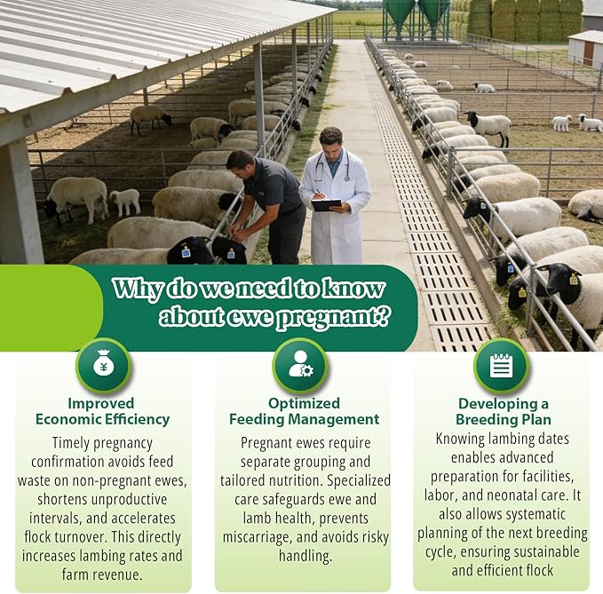 10-Pack Sheep & Goat Pregnancy Test Strips - Fast 5-10 Minute Urine Detection Kit for Early Breeding Confirmation, Accurate Livestock Testing for Home Farms