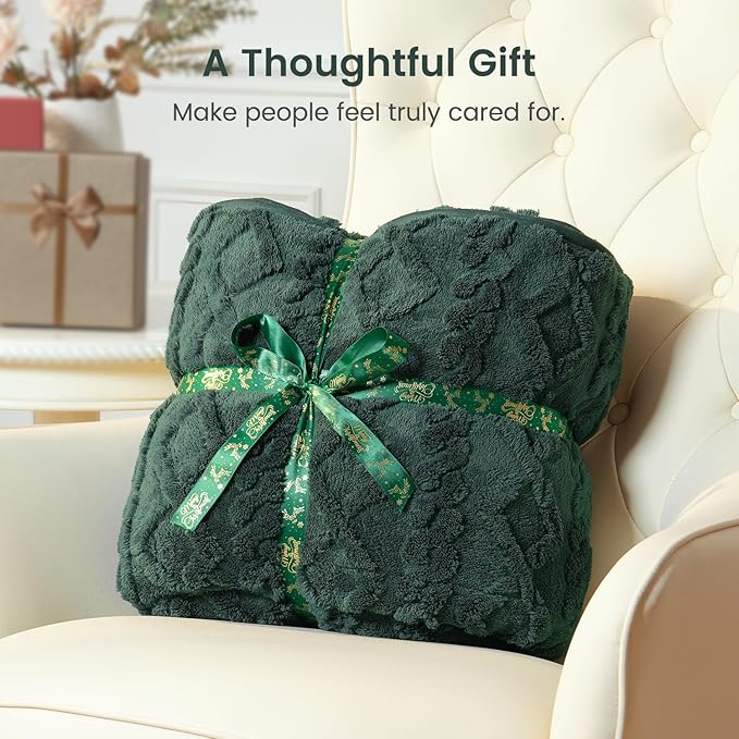 Sherpa Fleece Adult Weighted Blanket Great for Sleep, 15 lbs Dual Sided Soft Fuzzy Heavy Blankets for Couch Bed Sofa, Cozy Warm Fluffy Jacquard Throw for Winter (Green, 60" x 80", 15 Pounds)