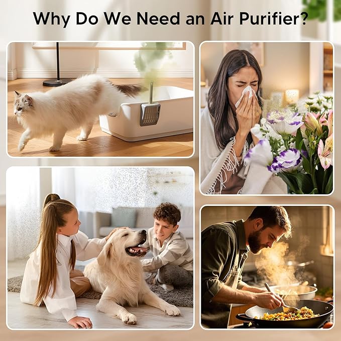 Air Purifiers for Home Bedroom Up to 1250 Ft² - HEPA Air Purifier with Aroma & Sleep Mode - 24dB Small Room Air Purifier for Allergies, Smoke, Dust, Pollen, Pet Dander,4000B,Black