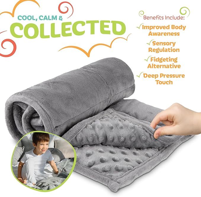 5lb Weighted Blanket (Grey) 19x22 Inch– Plush Minky Lap Pad with Sensory Support for Autism or ADHD, Giftable Weighted Blanket with Travel Bag for Ages 4–10