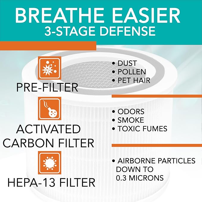 Filter Replacement for H250 HEPA-13 Air Purifier | 2-Pack
