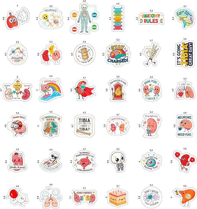 100Pcs Anatomy Stickers - Medical Doctor Physiology Stickers for Laptop, Water Bottle - Sonography Radiology Healthcare Nurse Bone Decals