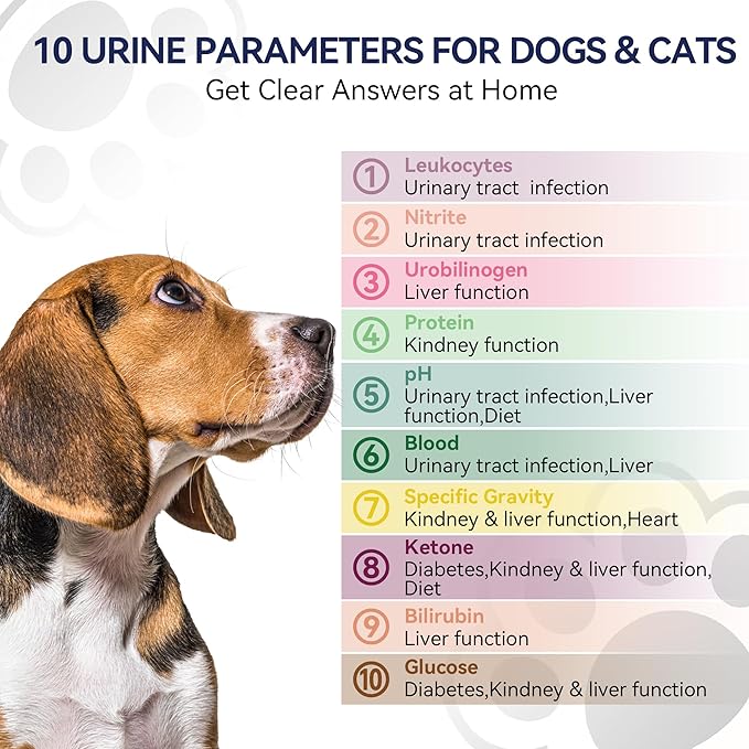 10-in-1 Cat & Dog Urine Test Strips, Cat & Dog UTI Test Kit, Pet Urinalysis Reagent Strips Diabetes, Glucose, Nitrite, Specific Gravity, pH, Protein, Leukocytes & More (60 Strips)