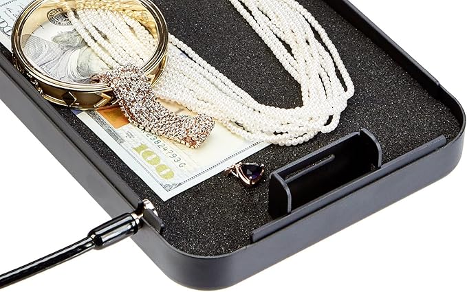Amazon Basics Portable Security Case Lock Box Safe with Combination Lock for Valuables, Documents, College Dorm Room, XL, Black