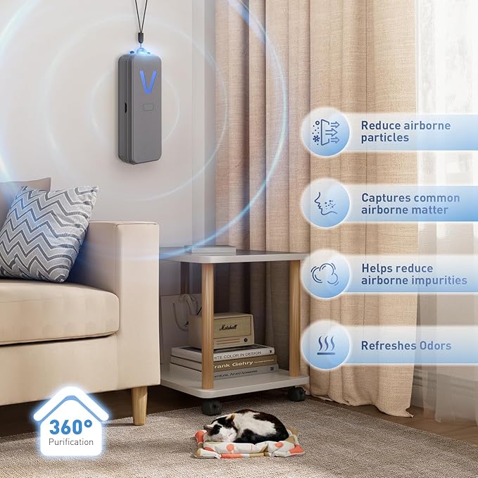 Air Ionizer, Negative Ion Air Purifier for Pet Homes and Small Spaces, Quiet Ozone Free Filterless Air Cleaner for Cat Litter Room, Bathroom, Bedroom, Desk (F2V Gray)
