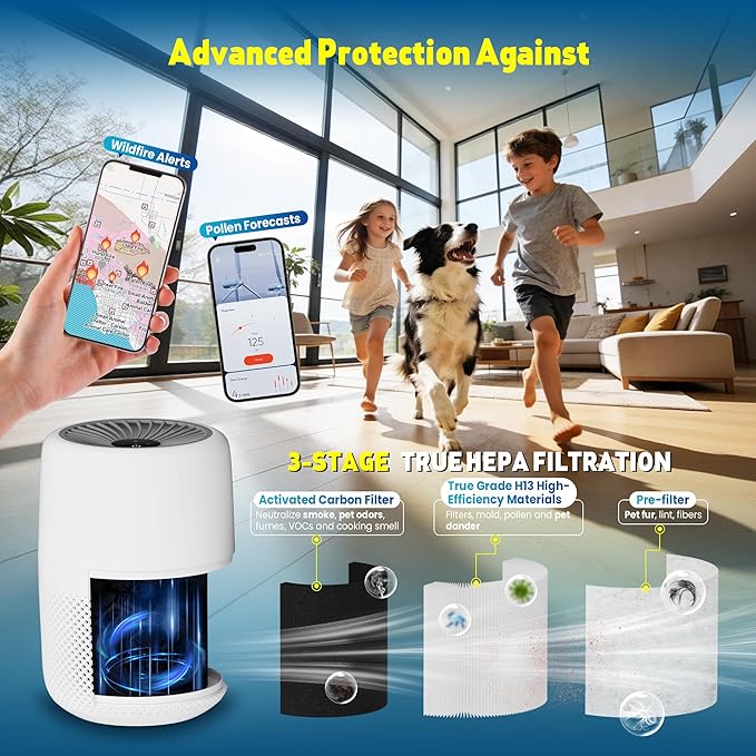 Core Mini Replacement Filter Compatible with LEVOIT Core mini-P Air Purifier, 3-in-1 Pre, H13 True HEPA, Activated Carbon Filtration System,Core Mini-RF,4 Filter & 10 Fragrance Sponge，By Improvedhand