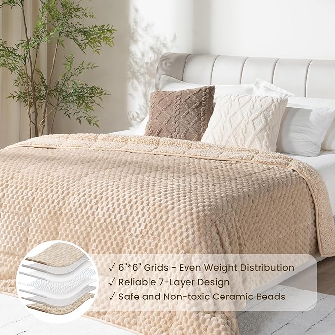 Drewin Weighted Blanket Twin Size 15 lbs, 3D Turtleback Pattern Jacquard Sherpa Weighted Blankets, Adult Weighted Blankets for Sleep Natural and Relaxing, Beige, 48 x 72 inches