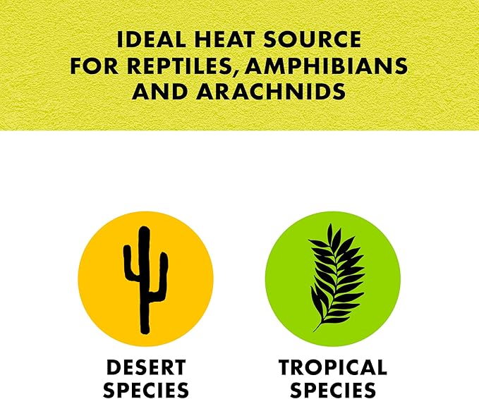 Zilla Heat Mat, Terrarium Heater for Reptiles, Snakes (Ball Pythons, Corn Snakes), Leopard Geckos, Tortoises, Amphibians and Arachnids, Mini, Fits 1-5 Gallon, 4 Watt
