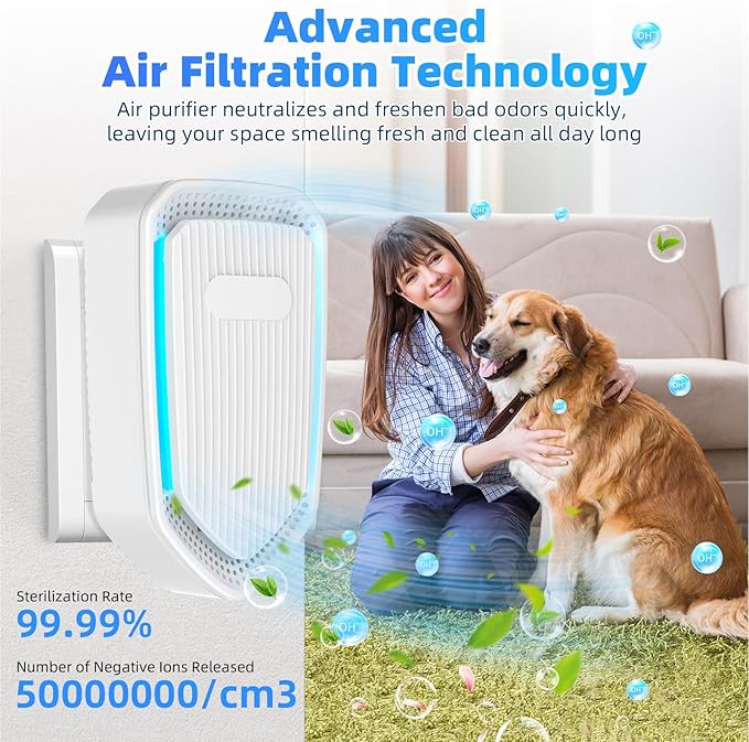 2026 Air Ionizer Plug In-8Pack Negative Ion Air Purifiers Ionizer,Quiet Air Freshener Indoor Portable Cleaner,Wall Plug In Negative Air Purifier for Home,Bedroom,Office,Odor Reducer Pets,Smoke Smell