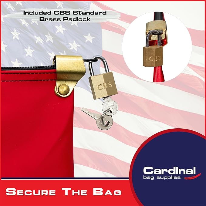 Medication Zipper Hood Security Bag with Included Padlock and Keys, Small Pill Bag, Travel Carry Pouch, Medicine Storage, 9 x 6 inches (Red)