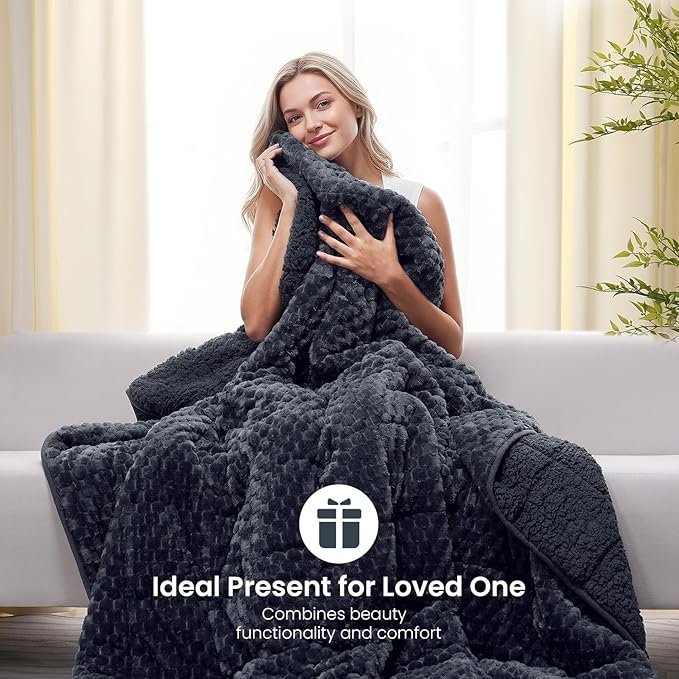 Drewin Weighted Blanket for Adults Queen Size 15lbs, Soft Cozy Turtleback Sherpa Weighted Blankets for Sleeping and Calming, Thick Bed Blanket for Couch Bed, 60 x 80 inches, Dark Grey