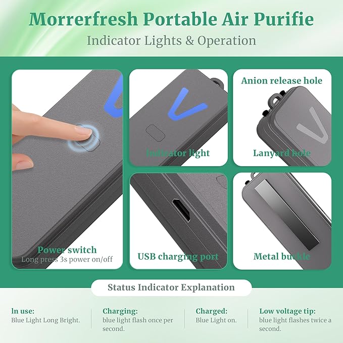 Air Ionizer, Negative Ion Air Purifier for Pet Homes and Small Spaces, Quiet Ozone Free Filterless Air Cleaner for Cat Litter Room, Bathroom, Bedroom, Desk (F2V Gray)