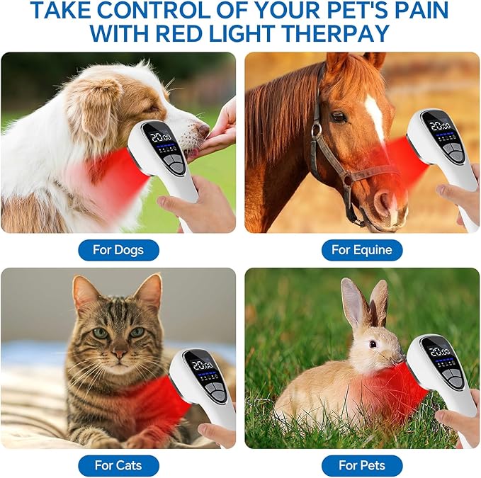 Red Light Therapy Device for Body Pain ReIief with Stand, 6x808nm+12x650nm Handheld Near Infrared Light Therapy with PW Pulsed Wave Model for Human Body Joint Back Knee Muscle