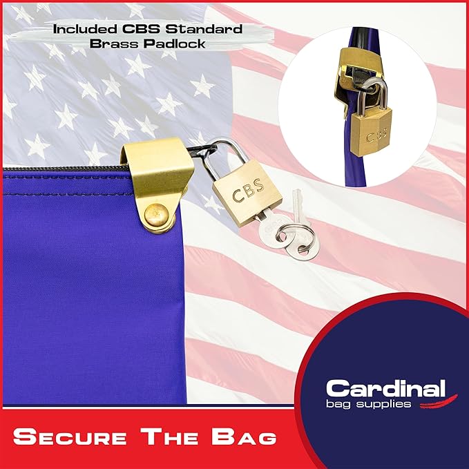 Medication Zipper Hood Security Bag with Included Padlock and Keys, Small Pill Bag, Travel Carry Pouch, Medicine Storage, 9 x 6 inches (Purple)