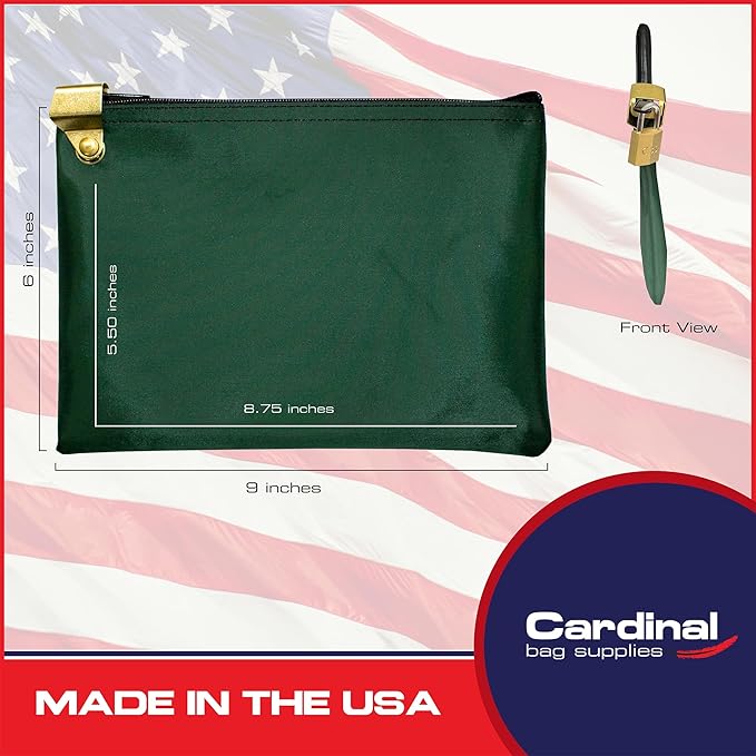 Medication Zipper Hood Security Bag with Included Padlock and Keys, Small Pill Bag, Travel Carry Pouch, Medicine Storage, 9 x 6 inches (Forest Green)