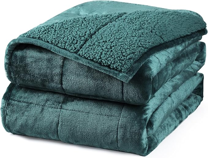 Aemicion Plush Sherpa Weighted Blanket Queen Size 15lbs - Soft Cozy Fleece Heavy Weighted Blanket, Breathable and Washable -Gift for Women Men-Green