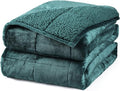Aemicion Plush Sherpa Weighted Blanket Queen Size 15lbs - Soft Cozy Fleece Heavy Weighted Blanket, Breathable and Washable -Gift for Women Men-Green