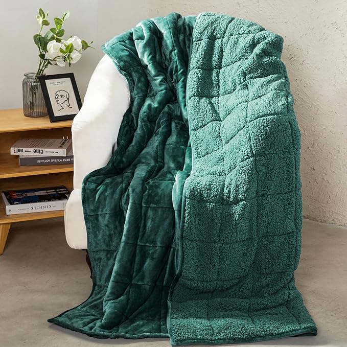 Aemicion Queen Size 20lbs Weighted Blanket for Adults, Fluffy Warm Sherpa & Cozy Soft Flannel Snuggle Thick Heavy Blanket Great for Sofa Bed, 60x80in Green