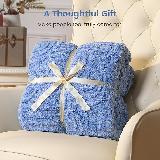 Sherpa Fleece Adult Weighted Blanket Great for Sleep, 20 lbs Dual Sided Soft Fuzzy Heavy Blankets for Couch Bed Sofa, Cozy Warm Fluffy Arched Jacquard Throw for Winter (Blue, 60" x 80", 20 Pounds)