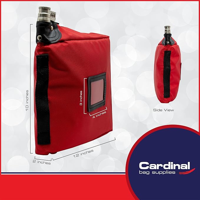 Large Medicine Bag Includes Pill Box and Removable Clear Bags, Prescription Bottle Organizer, Travel Carry Case, Combination Lock,12" x 10" x 2" (Red)