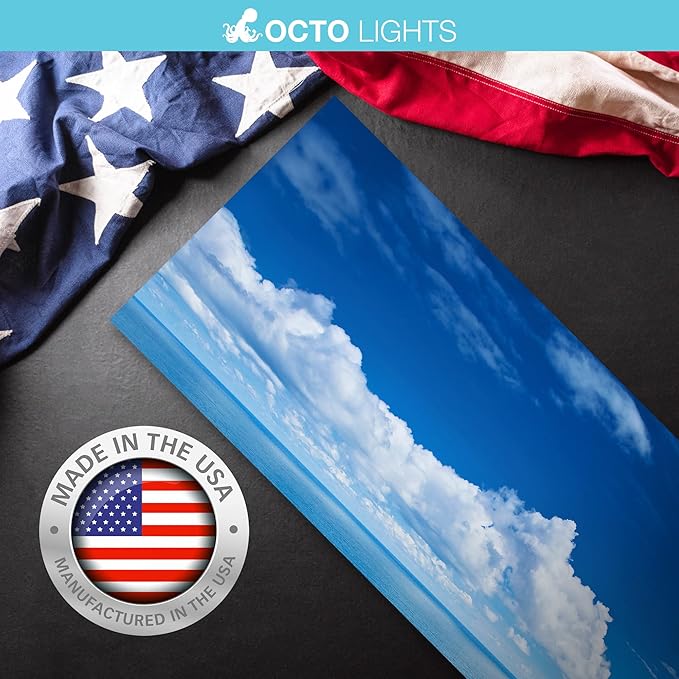 OCTO LIGHTS Fluorescent Light Covers Cloud Sky Panel for Ceiling Lights, Light Covers for Ceiling Lights Classroom 2x4 (22.38"x46.5") Backlit Film Insert for Fluorescent Light Fixtures (Pack of 1)