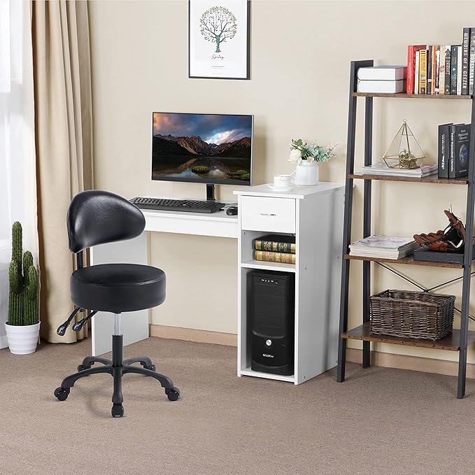 Swivel Rolling Stool Round Chair,Thick Sturdy Padding,Adjustable Stool with Wheels for Doctor,Medical,Massage Salon,Office,Shop(Black)