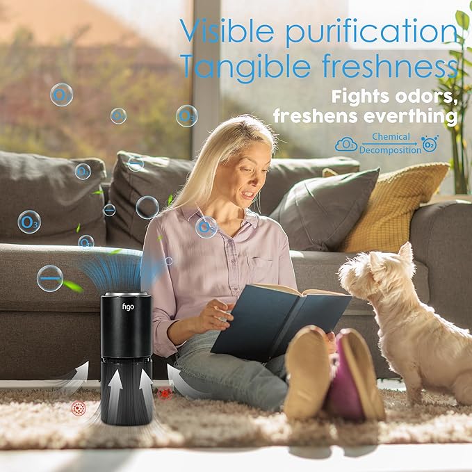 Figo 8th Gen Ionic Air Purifier, Filter-Free Compact Air Cleaner for Home & Car, Quiet Portable Odor Reducing Air Purifier for Small Spaces, Bedroom, Dorm Room, Desk