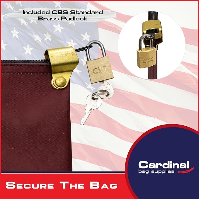 Medication Zipper Hood Security Bag with Included Padlock and Keys, Small Pill Bag, Travel Carry Pouch, Medicine Storage, 9 x 6 inches (Burgundy)