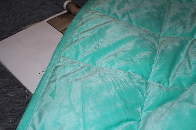 ALANSMA Reversible Weighted Blanket for All Season, Luxury Velvet, Warm and Cool, Adult 15Lb Green Weighted Blanket, Enjoy Sleeping Anywhere(Light Green,60"x80" 15lbs)