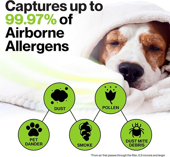Durabasics 2 Pack of HEPA Filters Compatible with Honeywell Air Purifier Replacement Filters, Replacement for Honeywell Filter R, HEPA Filter R, HPA200, HPA 200, HRF-R1 & HRF-R2