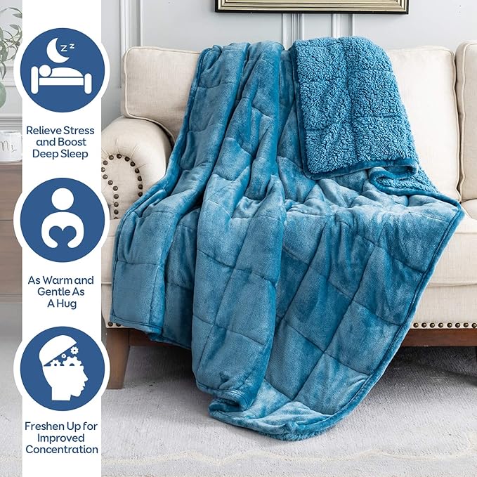 Weighted Blanket 20 lbs for Queen Bed, Flannel Shaggy Sherpa Weighted Blankets for Adults Comfortable Weighted Blankets for Calming and Relax, Bed Sofa Heavy Blankets,60x80 inches,State Blue