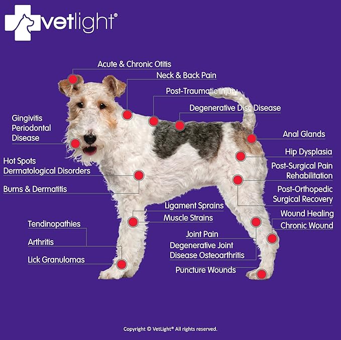 VETLIGHT Red Light for Dogs, Cats, Horses and Other Animals.