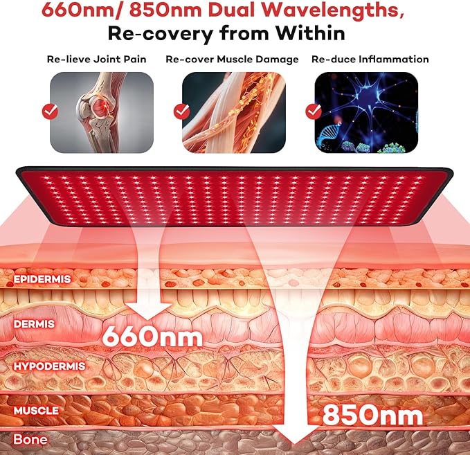Ezona Red Light Therapy Pad for Body Pain, 24 x 12 inch Large Infrared Light Therapy with 660/ 850nm for Back Relief, High-Output 242 LEDs Light with Remote Control for Shoulder Waist Knee Muscle