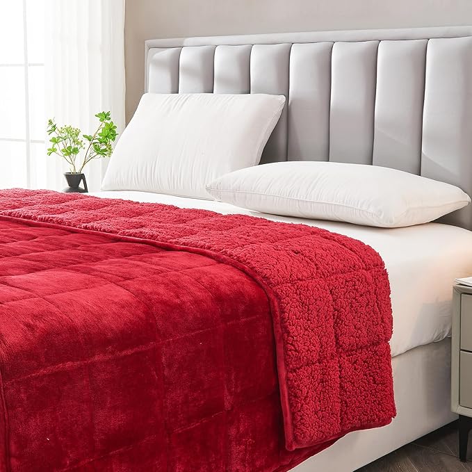 Topblan Sherpa Fleece Weighted Blanket for Adult, 15 lbs Dual Sided Cozy Fluffy Heavy Blanket, Ultra Fuzzy Throw Blanket with Soft Plush Flannel Top, 60 x 80 inches