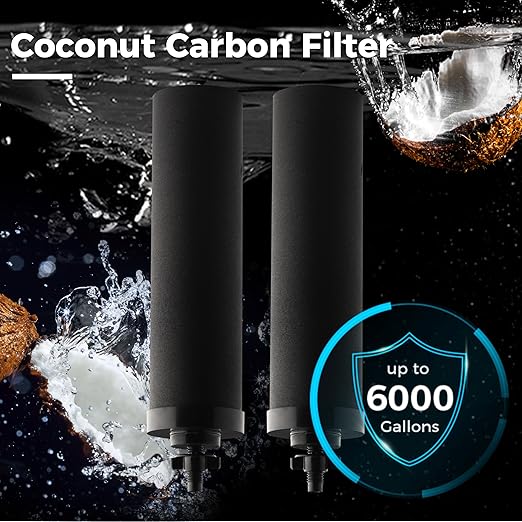 iSpring FDGF2 Activated Carbon Water Filter for iSpring DGF2 Gravity-fed Stainless Steel Countertop Water Filter System, Waterdrop® King Tank Series, and a Replacement for Berkey® BB9-2 Black Filter