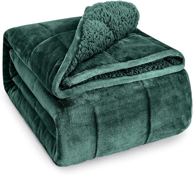 Wemore Sherpa Fleece Weighted Blanket for Adult, 15 lbs Dual Sided Cozy Fluffy Heavy Blanket, Ultra Fuzzy Throw Blanket with Soft Plush Flannel Top, 60 x 80 inches, Green on Both Sides