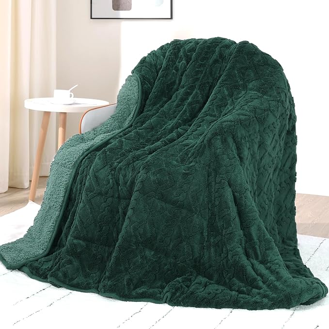 Drewin Queen Size Weighted Blanket for Adults 20 lbs, Soft Fuzzy Jacquard Sherpa Weighted Blankets for Sleeping 60 x 80 inches, Cozy Sofa Bed Blanket for Winter, Dark Green