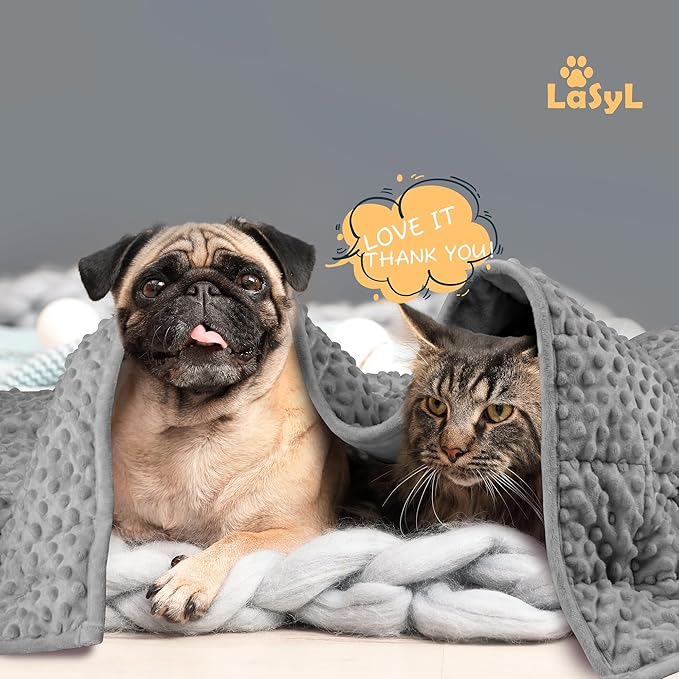 LaSyL Weighted Blanket for Pets | Thunder Blanket for Dogs Anxiety | Premium Soft Minky | Relaxation & Calming & Anti Anxiety | Used in Car, Bed, Couch | Dark Grey, Washable Medium (32"x40")