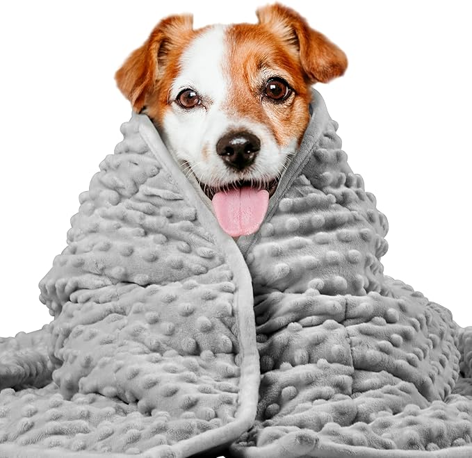 LaSyL Weighted Blanket for Pets | Thunder Blanket for Dogs Anxiety | Premium Soft Minky | Relaxation & Calming & Anti Anxiety | Used in Car, Bed, Couch | Dark Grey, Washable Medium (32"x40")