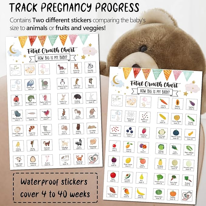 Pregnancy Water Bottle Tracker(Black), 1st Trimester Must Haves Gift for First Time Moms, with 2 Different Weekly Stickers, Early Essentials Gifts for Pregnant Women, Maternity, BPA Free