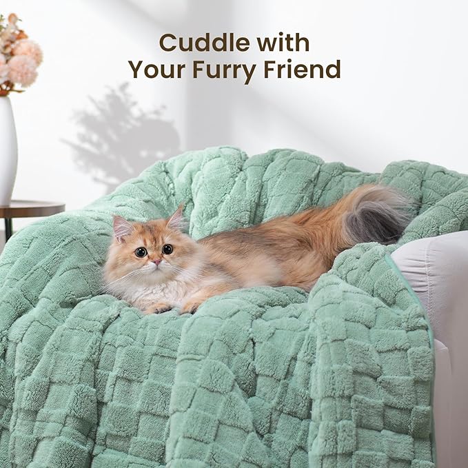 Drewin Adult Weighted Blankets 20lbs, Cozy Fluffy Jacquard Checkered Sherpa Weighted Blankets Queen Size 60 x 80 inches, Soft Winter Heavy Blanket for Couch Bed, Ceramic Beads, Sage Green